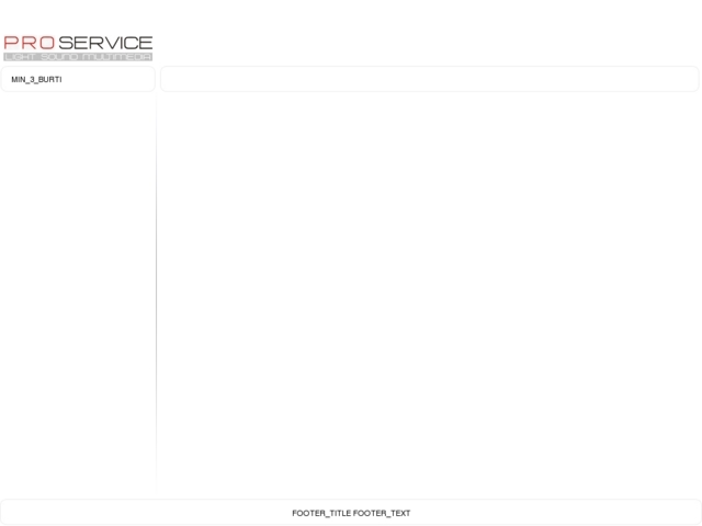 Pro Service, SIA